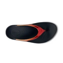 OOfos Women's OOlala Luxe Sandal - Solstice - Regular (B) 9 OOfos Women's OOlala Luxe Sandal - Solstice - Regular (B) -Gazelle Sports Shop 1401BLKSOLFR shot6 932x680 6f6ff62f ec81 40b2 a471 e2acb43dd5ec