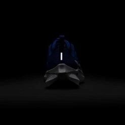 Nike Youth Pegasus 40 Running Shoe - Game Royal/White/Deep Royal - Regular (D) -Gazelle Sports Shop AURORA DX2498 400 PHSBH200 2000