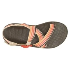 Chaco Men's Z Cloud Sandal - Scoop Dusk - Regular (D) -Gazelle Sports Shop CHAM JCH108677 012422 S23 TOP 1