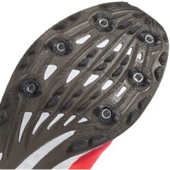 ADIDAS Women's Adizero XC Sprint Spike - Signal Pink/Core Black/TWR White- Regular (B) -Gazelle Sports Shop EG8462 04