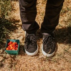 Men's X-Scape NBK Low Sneaker - Black/White - Regular (D) 20 Men's X-Scape NBK Low Sneaker - Black/White - Regular (D) -Gazelle Sports Shop mens x scape nbk low black white ls 1 800x 3a6d1a12 7fd3 4c79 ac9d 13c24d0fd9ec